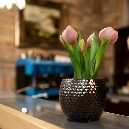 Fenyves * Ásotthalom